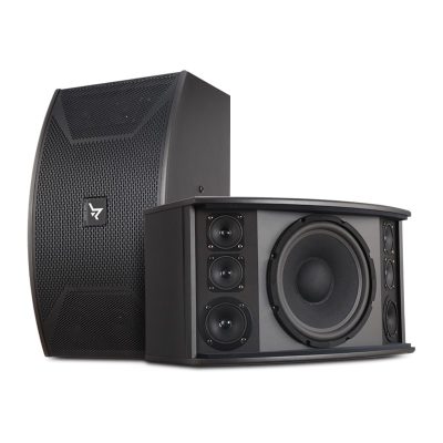 Loa Fane SV10
